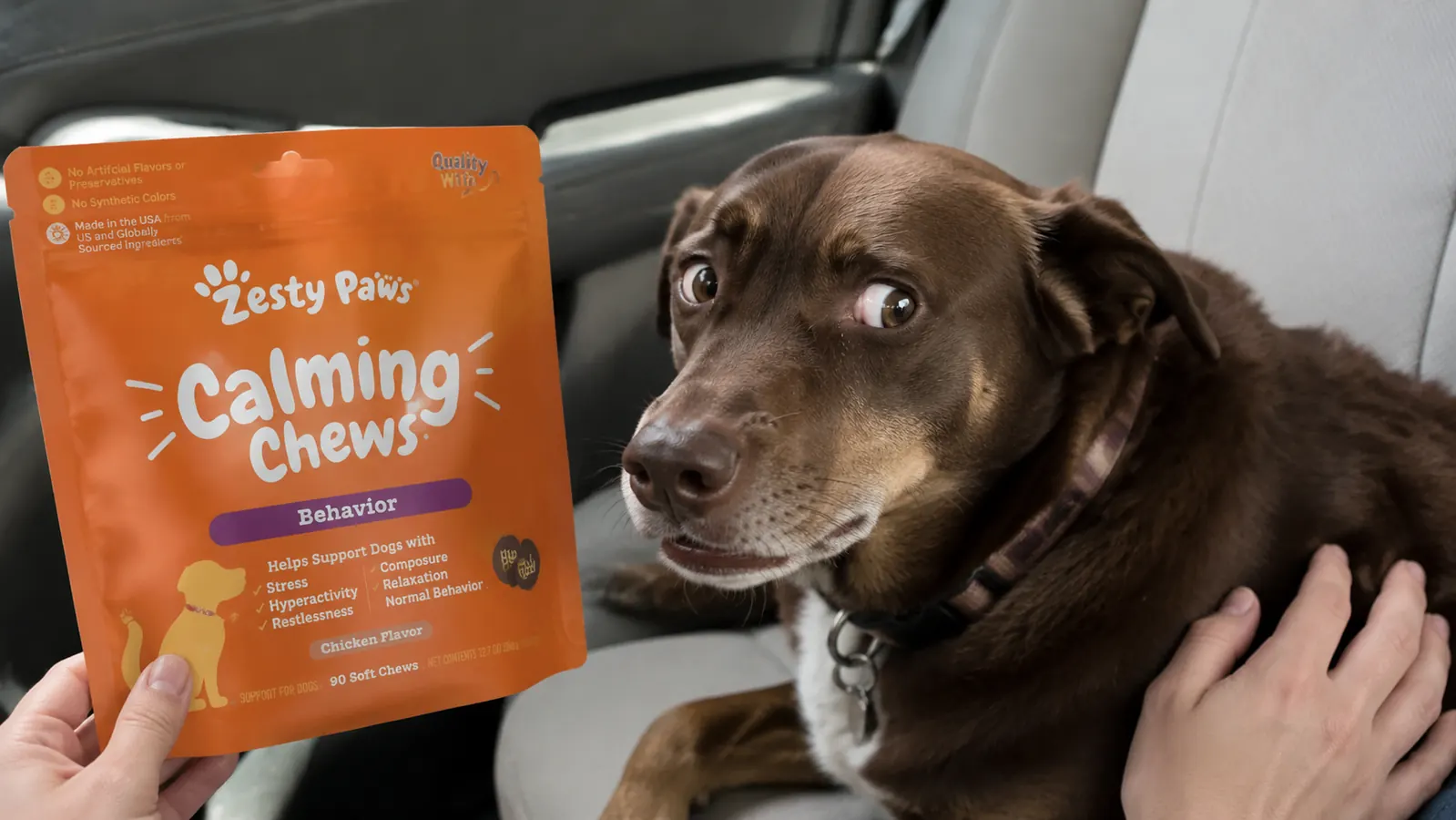 Close-up of a dog showing whale eye, white of the eye visible, in a car seat