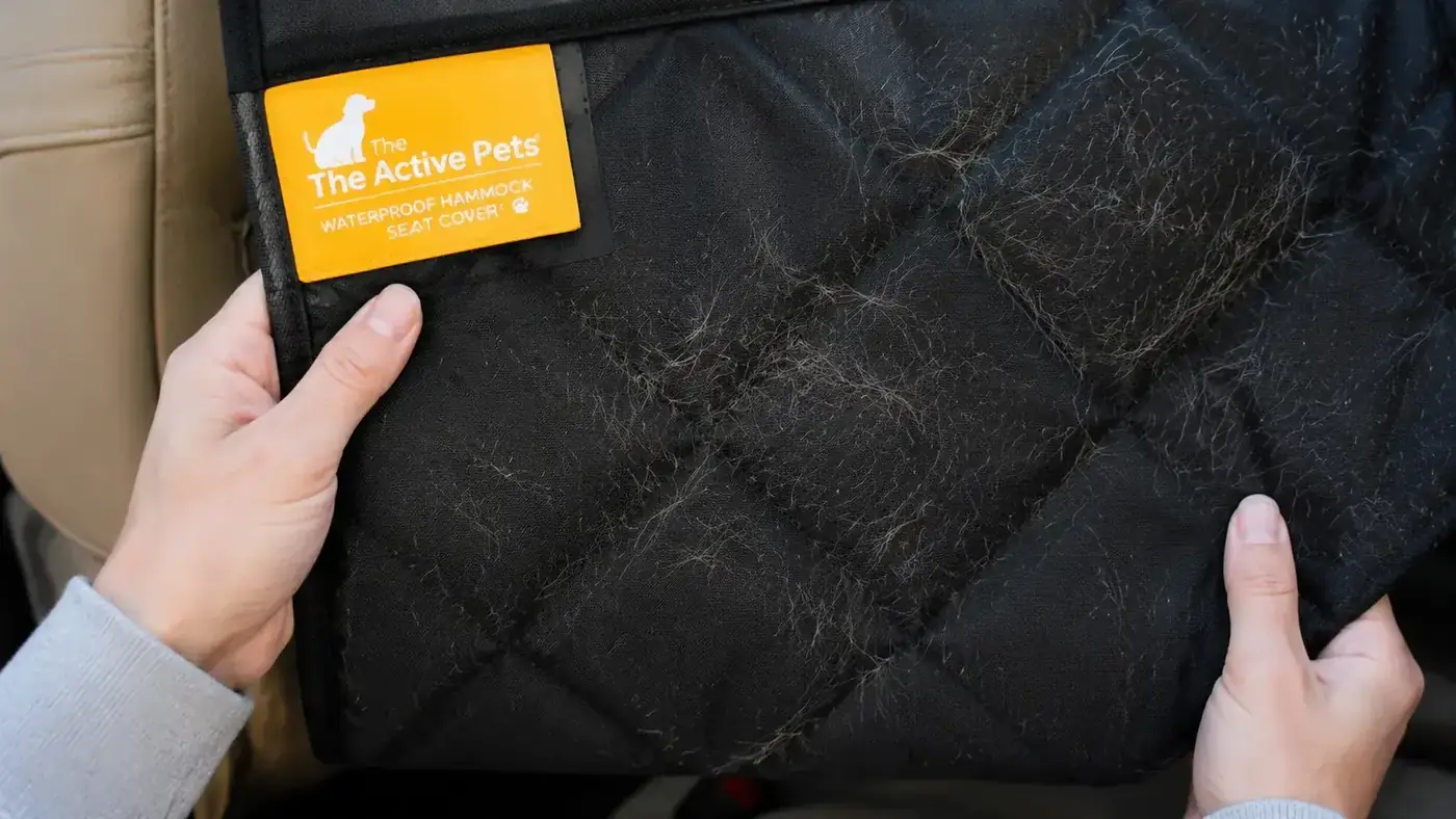 Side panel of a car seat cover showing shed dog hair collected on the underside fabric panel