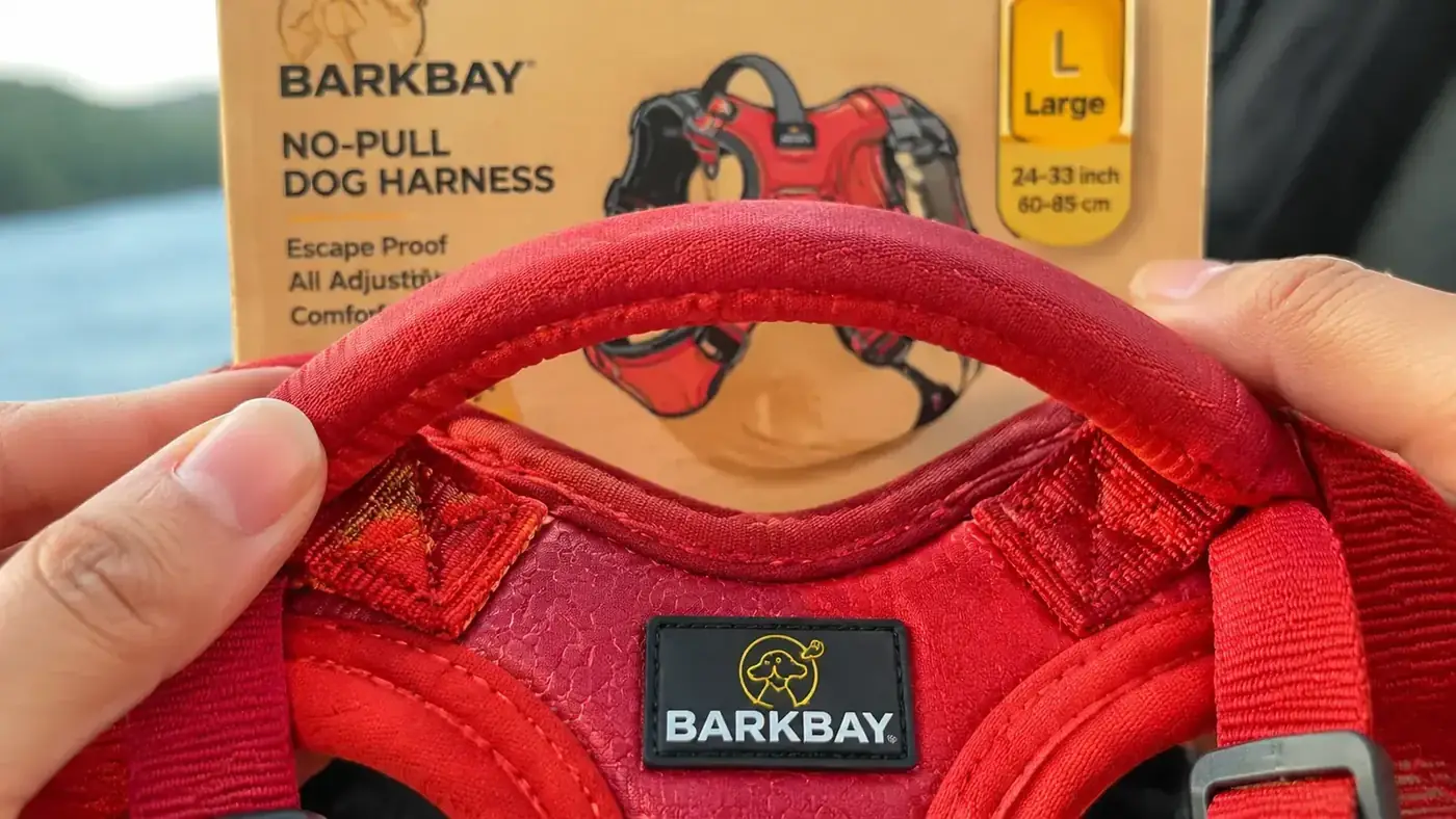 Handle stitching on the top of a dog harness shown up close, thread visible at the attachment points with normal wear visible