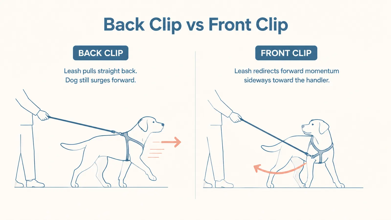Infographic showing pulling force comparison between back-clip harness and front-clip harness mechanics with directional arrows