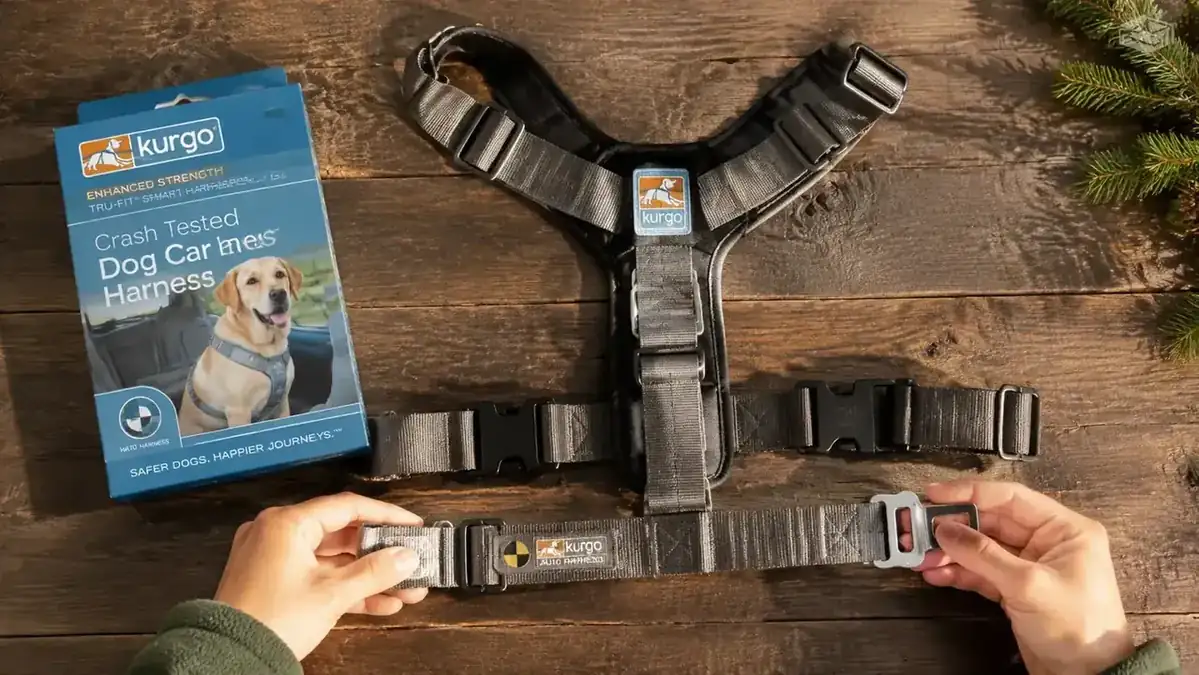 Overhead view of a Kurgo Tru-Fit harness laid flat showing the webbing and hardware before fitting